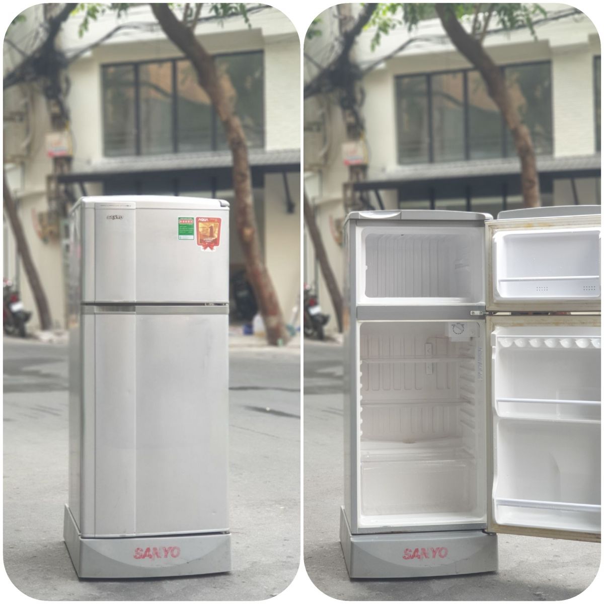 SANYO 110l đóng tuyết