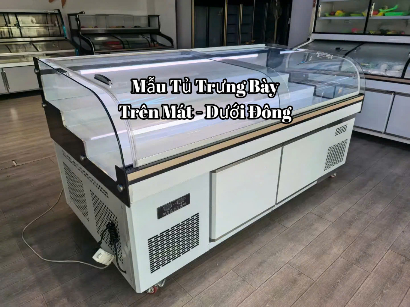 TỦ MÁT TRƯNG BÀY THỊT CÁ, BUFETT TREN MÁT DƯỚI ĐÔNG